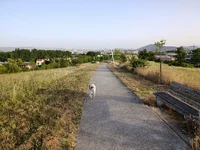 1000048174.webp