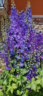 20260619_143639.webp