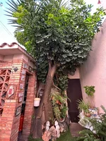 CC5577D5-821B-40F1-BC63-D645A7157A8A.webp