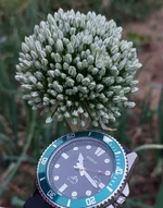 20260604_101655.webp