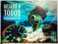 20171011_182854-01-02-01.webp 20171011_182854-01-02-01.webp