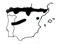 1000357903.webp 1000357903.webp