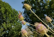 20260707_101237.webp