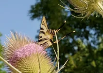20260707_101310.webp