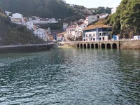 1000136941.webp