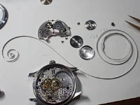 P7310014.webp