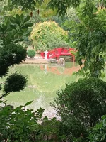 1000332153.webp