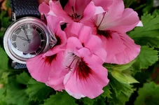 20260803_095454.webp