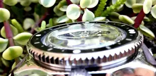 20171022_085318.webp
