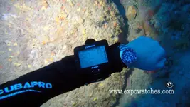 Seiko PADI -52,1 m.webp