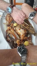 20171001_143656 (Copy).webp