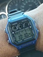 1000182646.webp