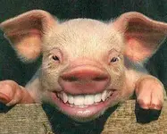 CHANCHITO REILON.webp CHANCHITO REILON.webp