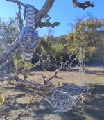 1000089718.webp