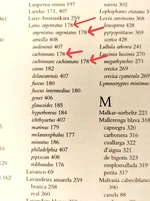 1000384881.webp