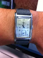 Fortis_3.webp