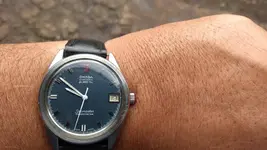 15084139518091385527996.webp
