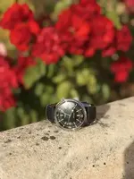 IMG_2055.webp IMG_2055.webp