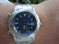 IMGP1055.webp