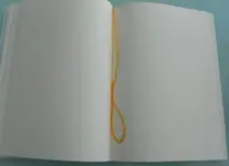 L1120423.webp