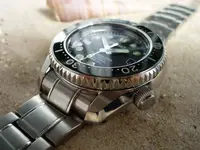 P1040750.webp