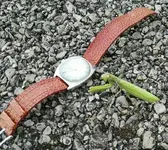 IMG_20170928_141006.webp
