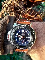 20171029_074950.webp