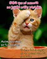 7c689f3fc552611e36173156238da1b6.webp