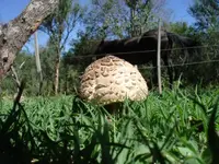 291 Posada Los Sauces 25-03.webp