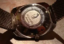 trasera pingüino.webp