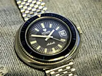 antartic diver platillo.webp