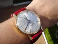 wristshot al sol.webp