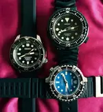 agseiko44587.webp