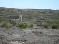 Argentina. Cordoba. Camino de las Altas Cumbres - P.N. Quebrada del Condorito.webp