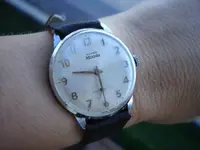 DSC05250.webp