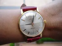 DSC04712.webp