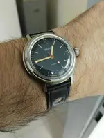 15118694931661673288758.webp