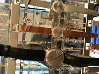 IMG_2151.webp