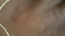 20171128_161850.webp