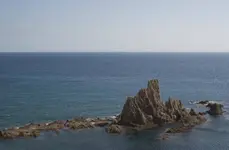 IMGP2323.webp