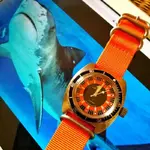 17100470 358 VOSTOK AMPHIBIAN SE150JI07.webp