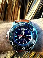 20171031_080426.webp