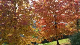 20171117_143456.webp