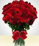 ROSAS.webp