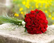 ramos rosas rojo (1).webp