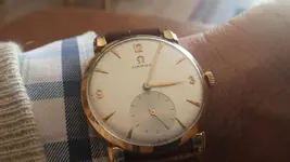 omega oro tortu.webp