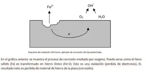 hierro.webp hierro.webp