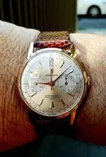 festina 44.webp
