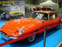 rojo E.webp