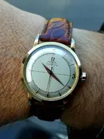 354 RG.webp
